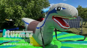 pud253w.jpg (278749 Byte)